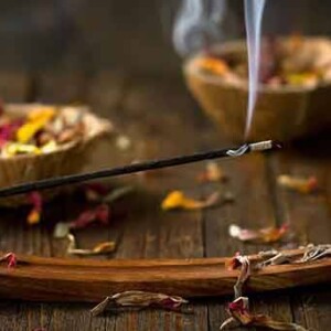 Ekadashi ponuda incensa - Sri Manasa Hamsa Sanga