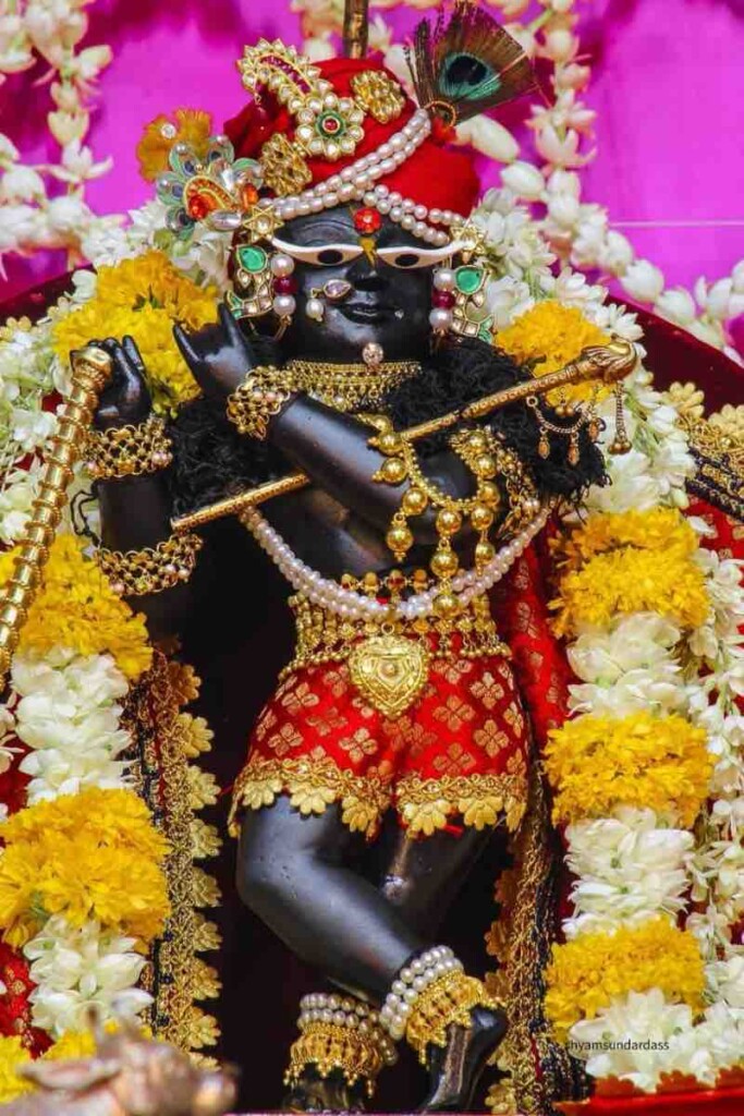 Papamochani Ekadashi - Sri Manasa Hamsa Sanga