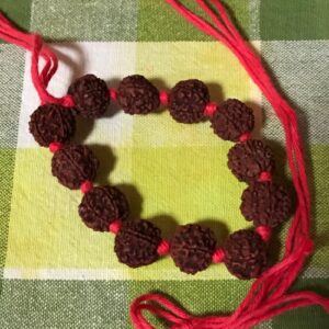 Rudraksha japa-mala - Sri Manasa Hamsa