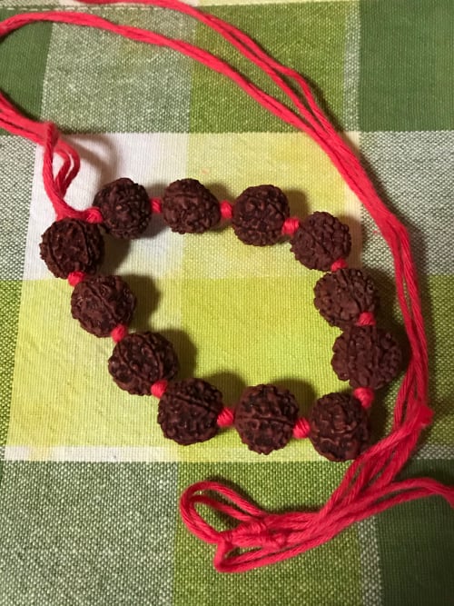 Rudraksha japa-mala - Sri Manasa Hamsa