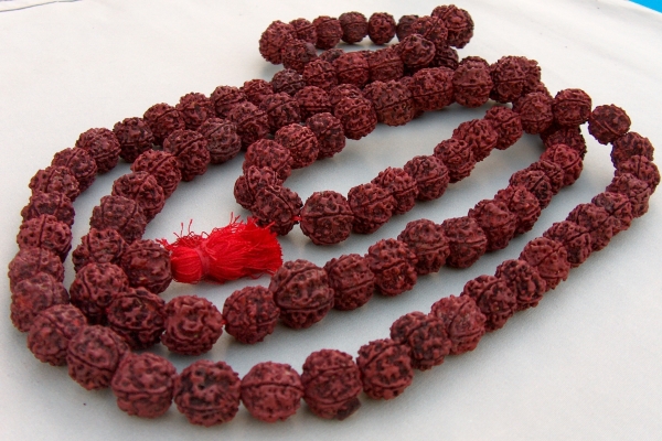 Rudraksha - Sri Manasa Hamsa