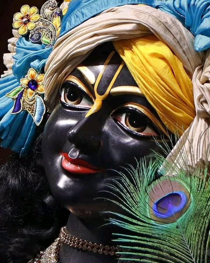 Yogini Ekadashi- Sri Manasa Hamsa Sanga