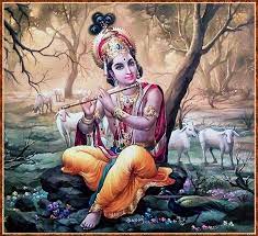 Padmini Ekadashi - Sri Manasa Hamsa Sanga