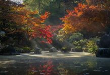Exploring Non-Timber Forest Product Potential