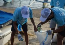 Tomorrow’s Forests: Today’s Reforestation Efforts