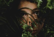 Enchanted Forests in Literature and Fantasy