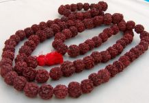 Rudraksha Rudraksha - Sri Manasa Hamsa Sanga