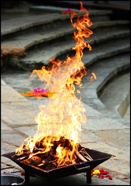 Shraddha Yagya - Sri Manasa Hamsa Sanga
